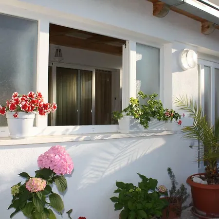 Anand Apartment *