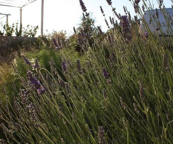 Apartman Anand Dubrovnik