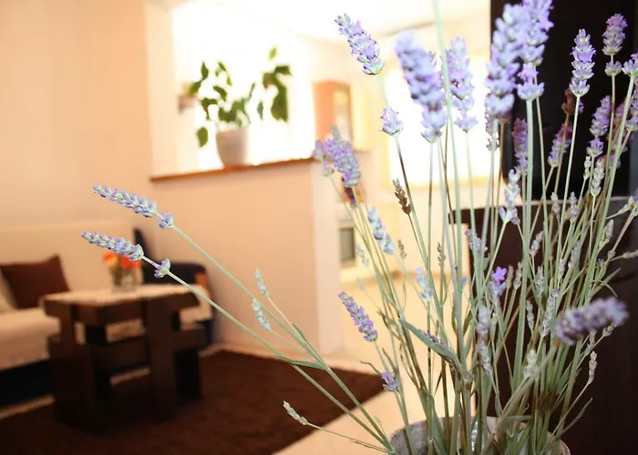 Appartement Anand